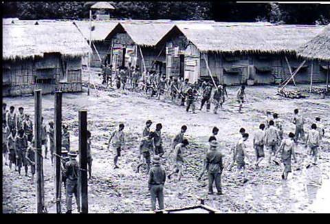 caitao1978.jpg