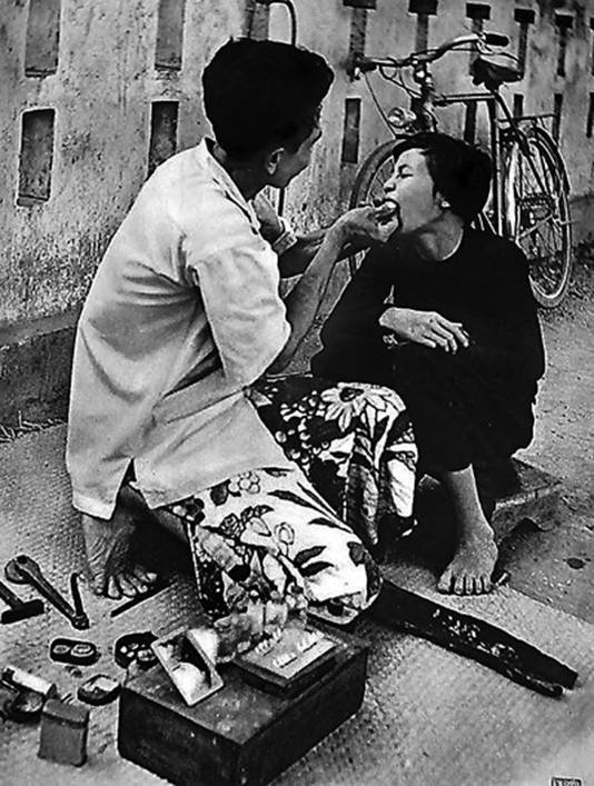 son-dong-mai-vo3.jpg