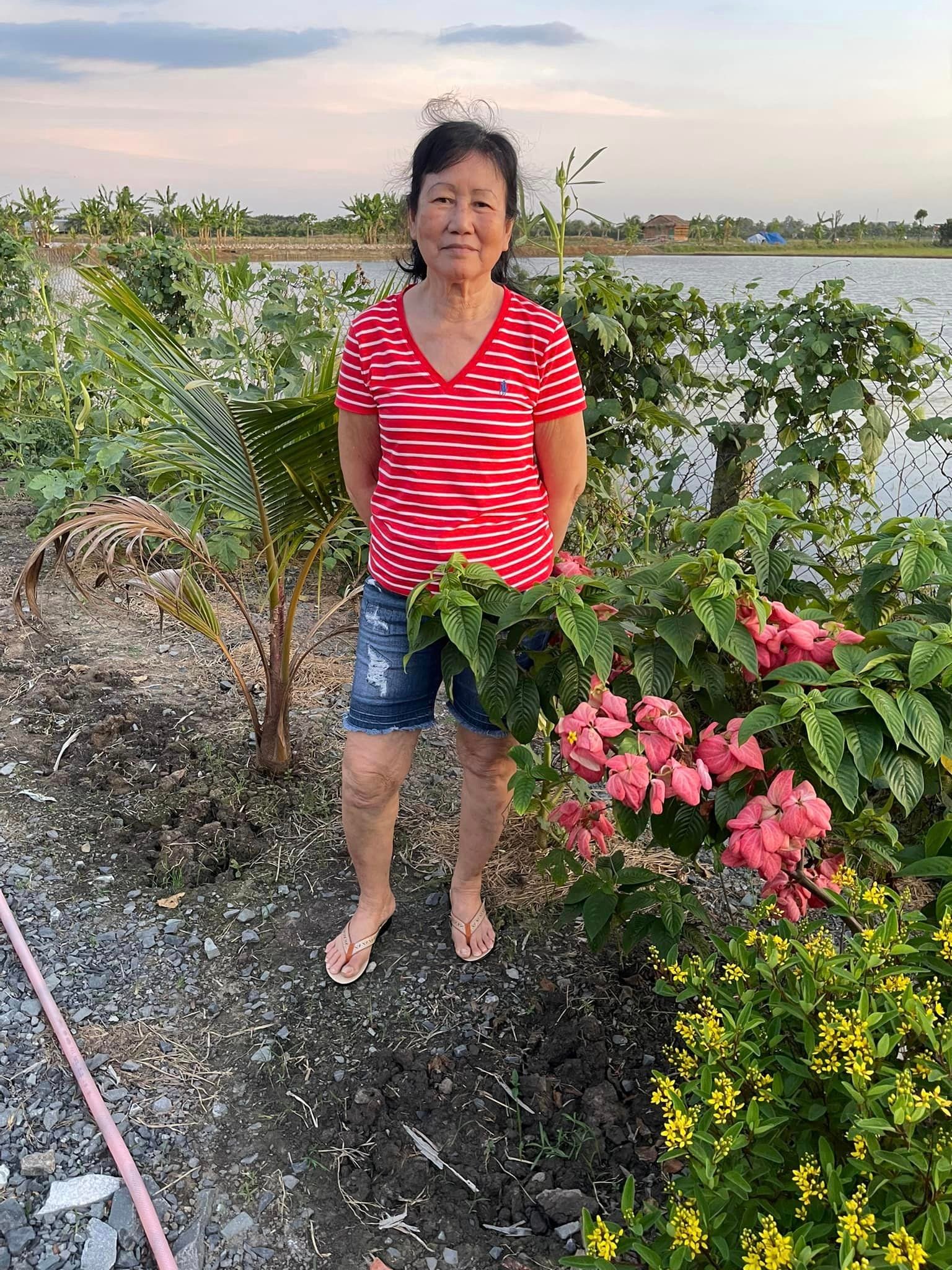 https://www.conganhuynh.com/Mai01.JPG